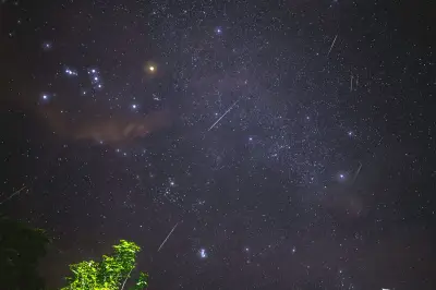 Understanding What Is a Meteorite: Science & Secrets