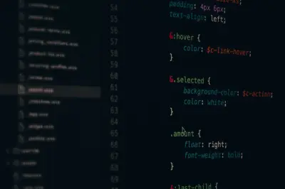 Top Programming Languages to Master for the Future