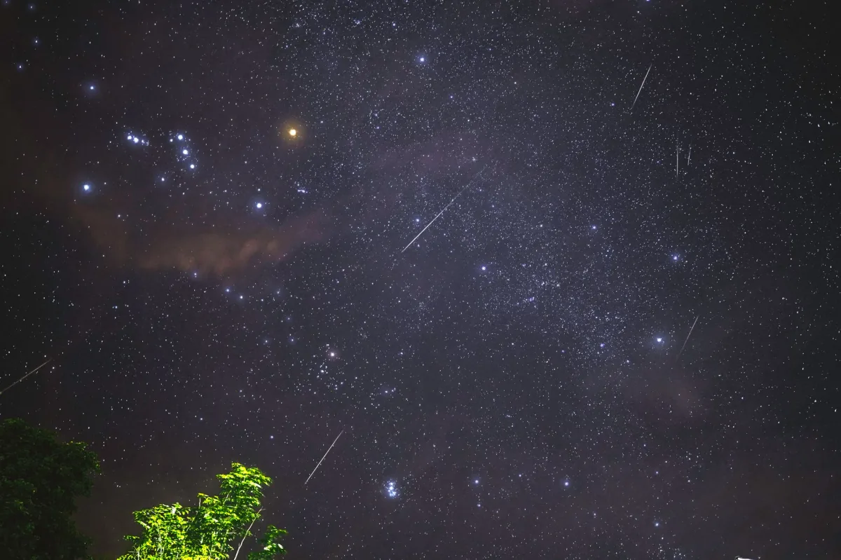 How Meteorites Are Discovered: 2026 Techniques & Insights