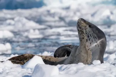 Why Antarctica Is Important for Climate Research 2026